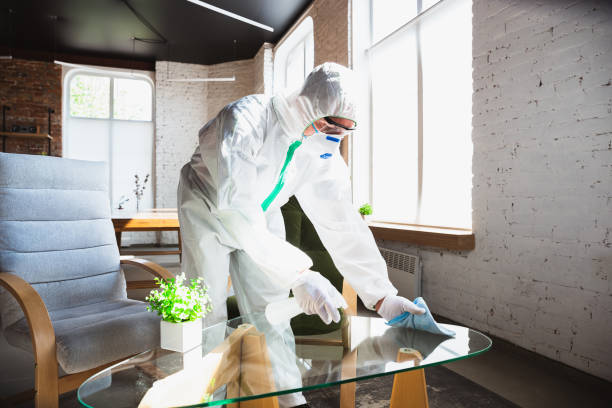 Wellsville, OH Mold Removal & Remediation Company